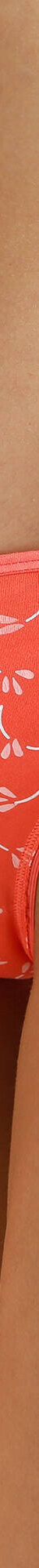 Culotte midi coton dentelle imprimé fleurs Coria - lot de 2 (corail) Culotte midi coton dentelle imprimé fleurs Coria - lot de 2 (corail)